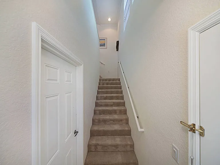 Entrance stairway to living area