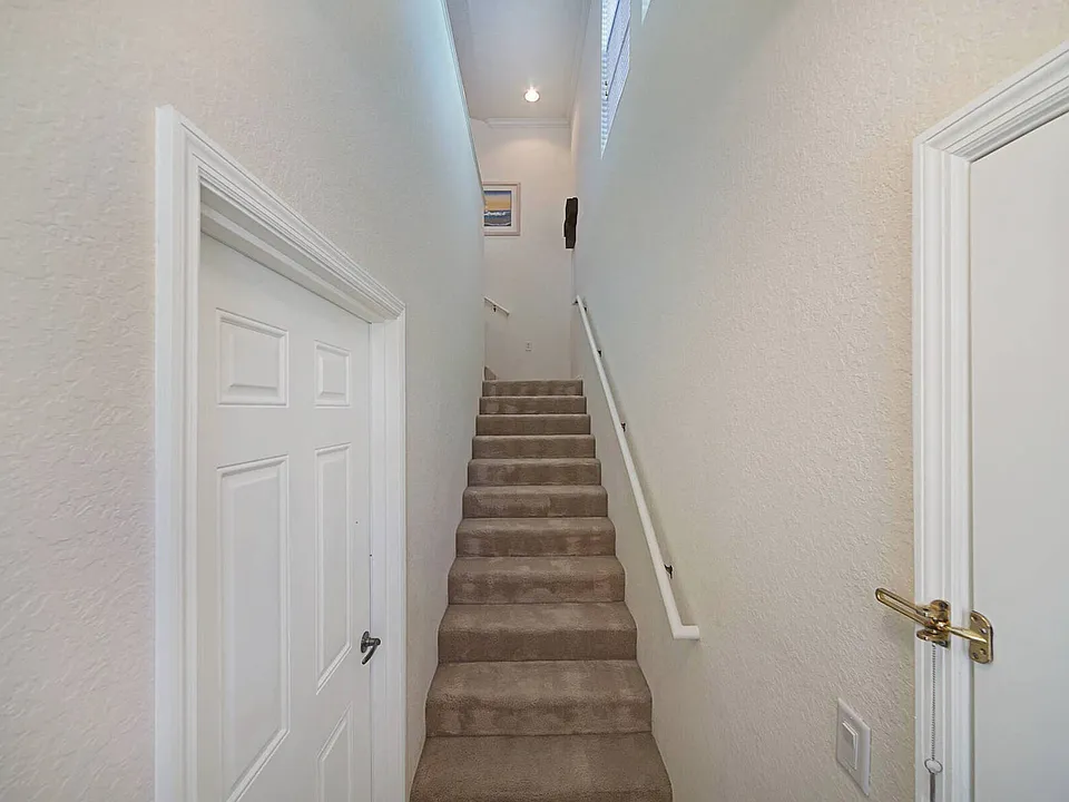 Entrance stairway to living area