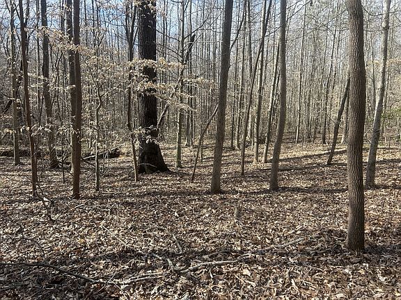 2nd image of 0 Mount Carmel Rd