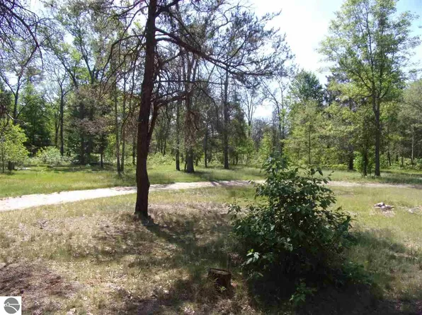 0 Beaver Lake Trl, West Branch, MI 48661