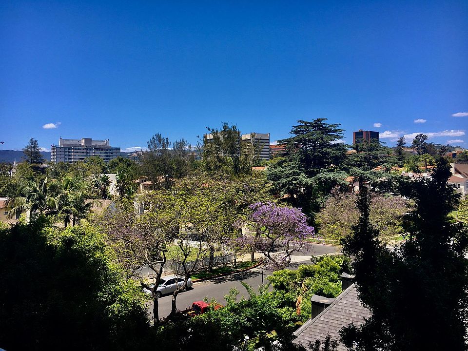 Balcony View of UCLA