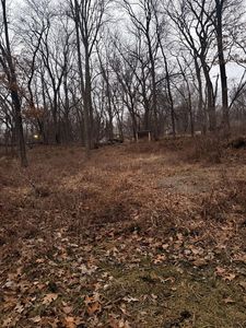 310 Ravine St, Pt Byron, IL, 61275