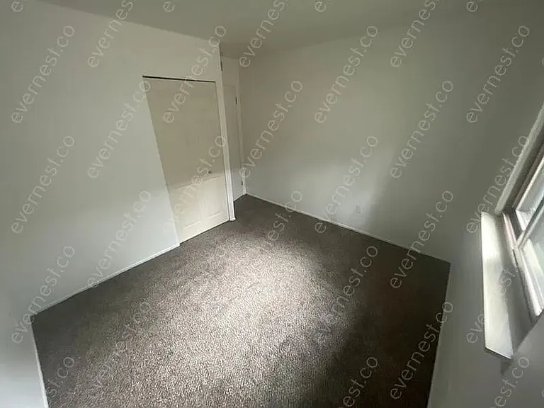 jpg