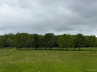 N Davis Rd #4, East Aurora, NY 14052