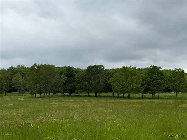 N Davis Rd #4, East Aurora, NY 14052