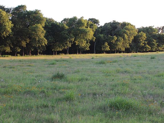 3rd image of County Road 204