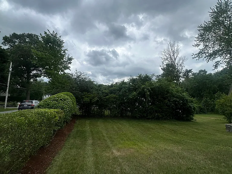 Professionally maintained lawn