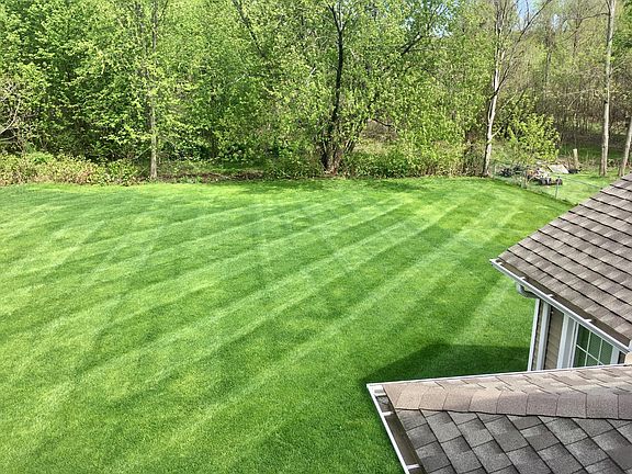 Can you imagine having this back yard without the work that 