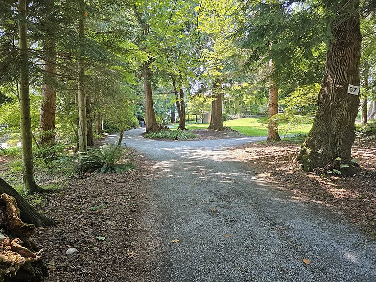 Driveway up to home. (Two driveways, one that leads to the attached 2-car garage and the other that leads up to the front door).
