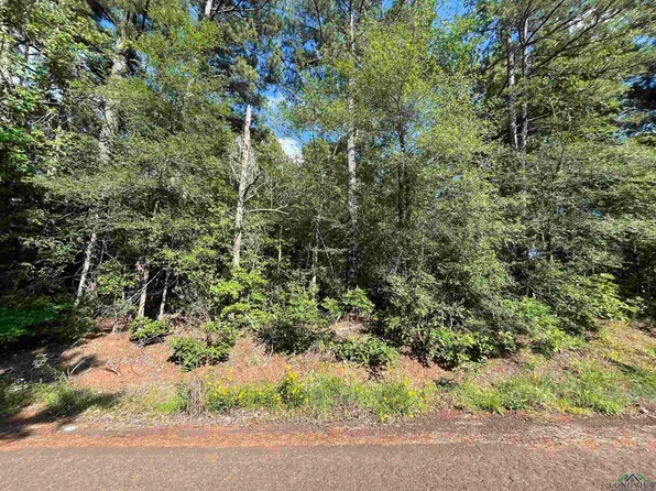 Duncan Rd, White Oak, TX 75693