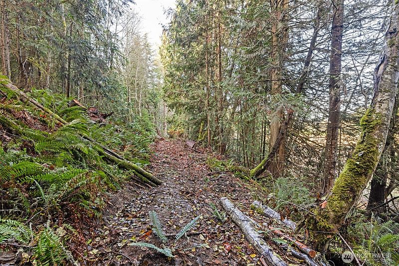 5th image of 0 NKA Lost Mountain Road