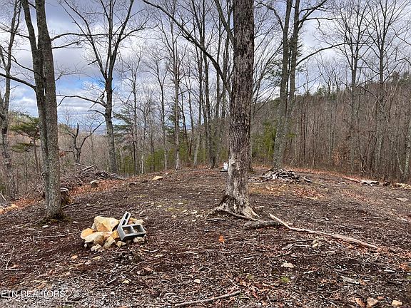5th image of Hardwood Hollow Way