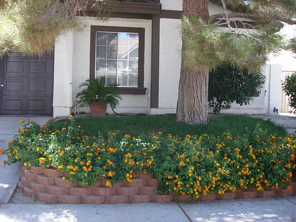 Beautiful Landscaping