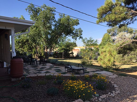 PART OF HUGE BACKYARD