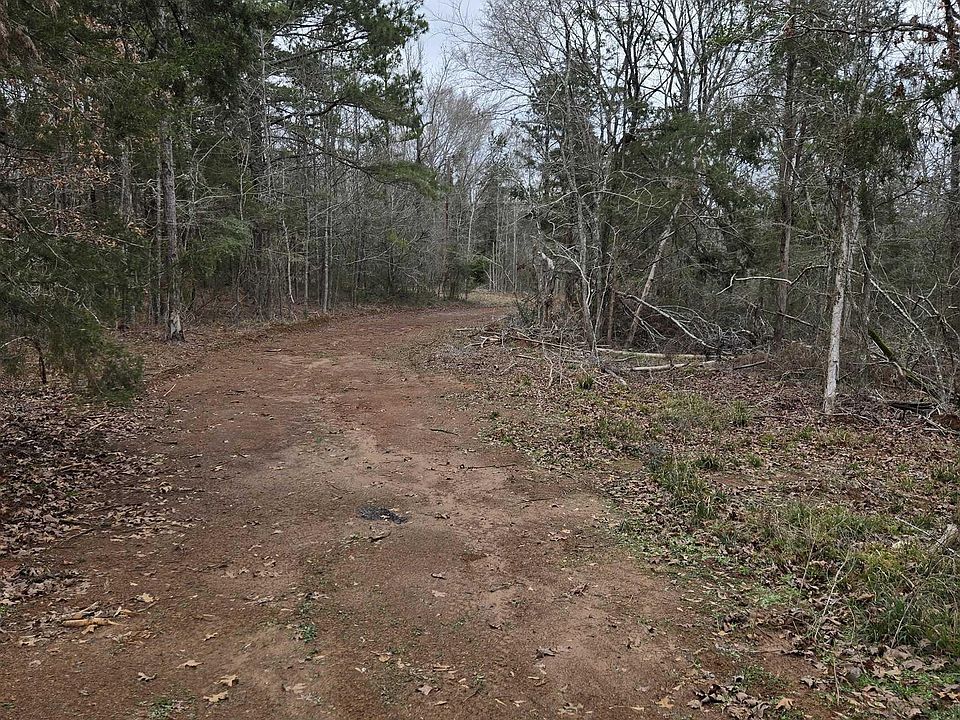 2nd image of 0 County Road 3206