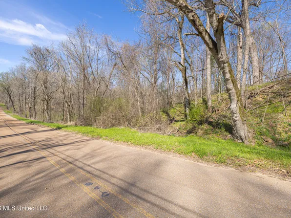 0 Reed Wilson Rd, Vicksburg, MS 39183