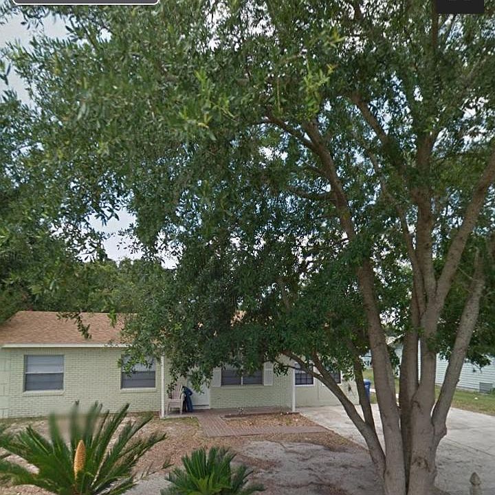 Large oak that shades part of parking and front of house.