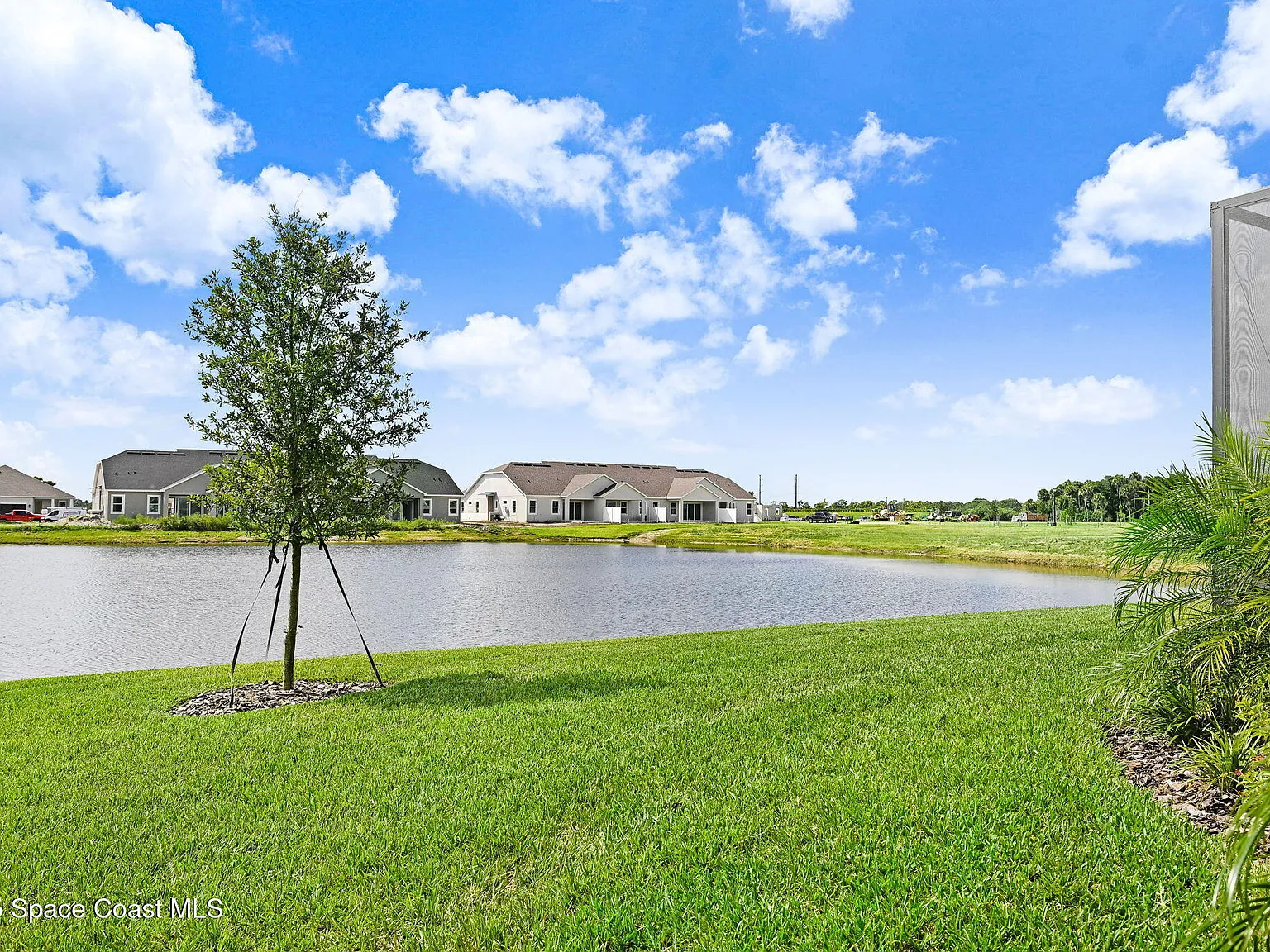 3 bed, 2.0 bath, 1795 sqft, $3,000 — Photo 4