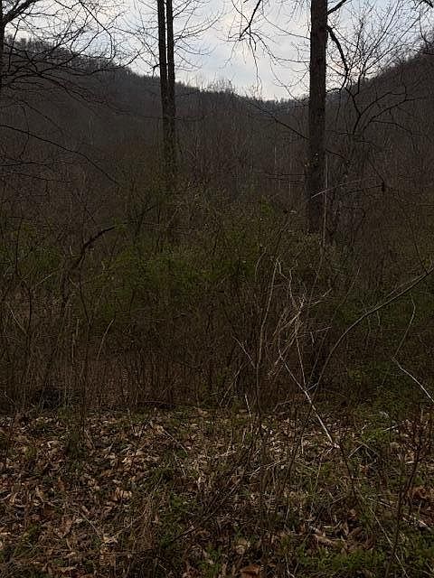 2nd image of 9999 Paint Gap Rd
