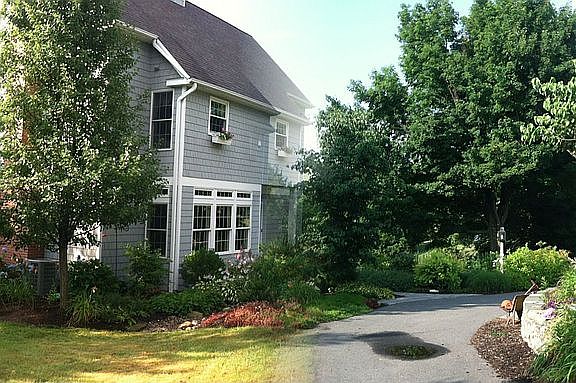 Landscaping, circular drive