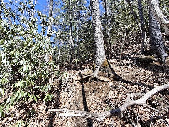 3rd image of 0 Vess Owen Rd