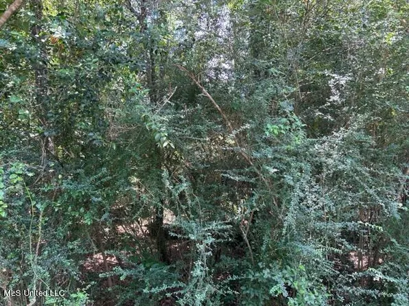 NE Perkins St, Brooklyn, MS 39425
