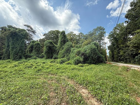 2nd image of 0 Lakeview Dr