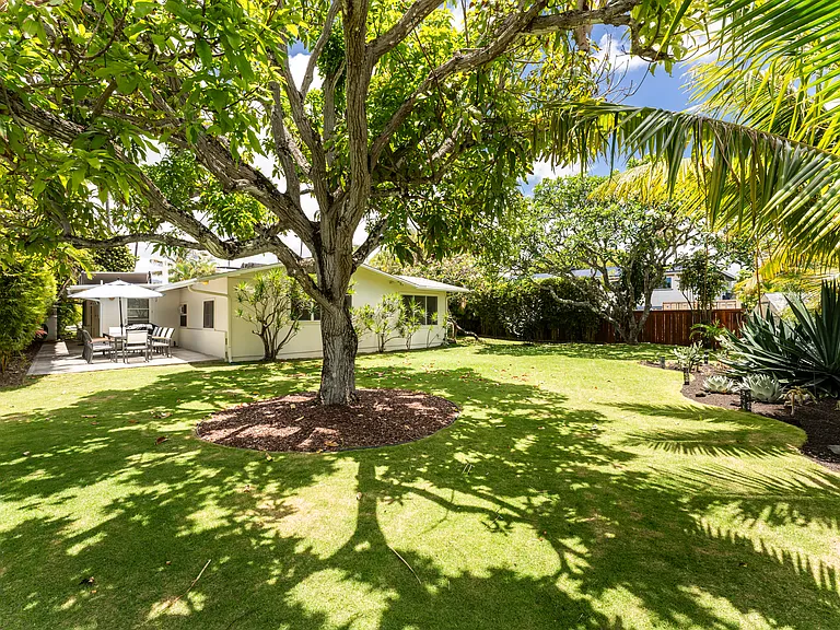 Landscaped backyard with large outdoor patio and mature tropical trees.