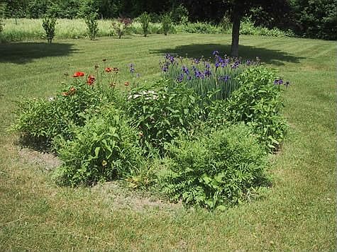 Perennial garden