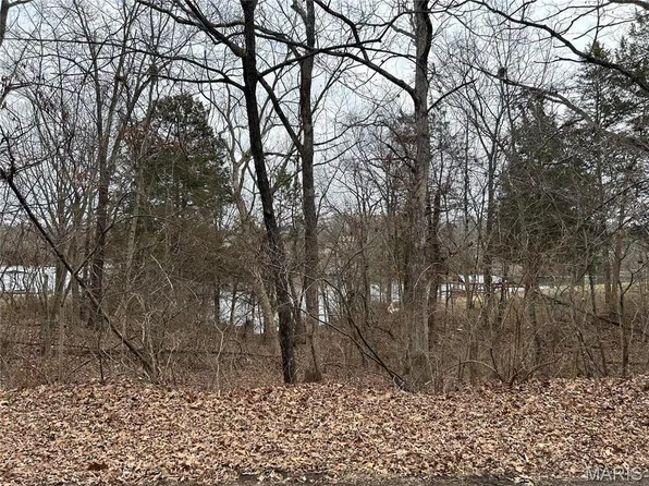 0 Section #10 & 11, De Soto, MO 63020