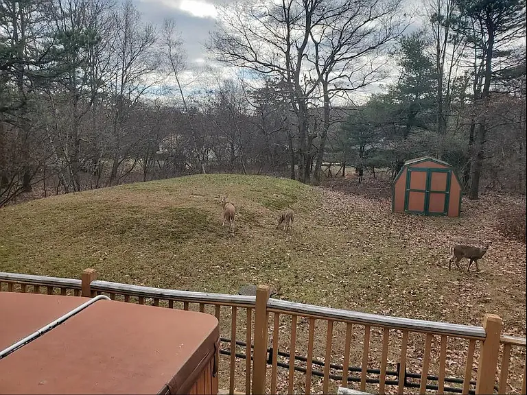 762 Stony Mountain Rd — Photo 14