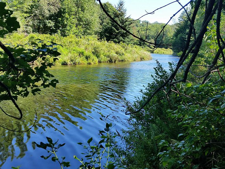 homes for rent pocono lake pa