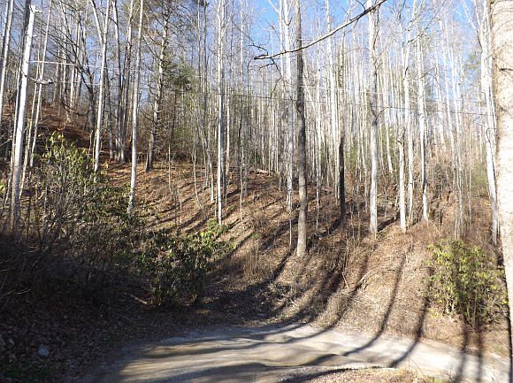 1st image of Tbd Buck Mountain Road