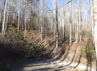 Tbd Buck Mountain Road, Roan Mountain, TN 37687
