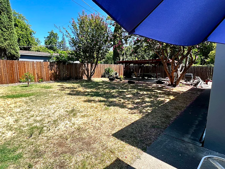 Back yard