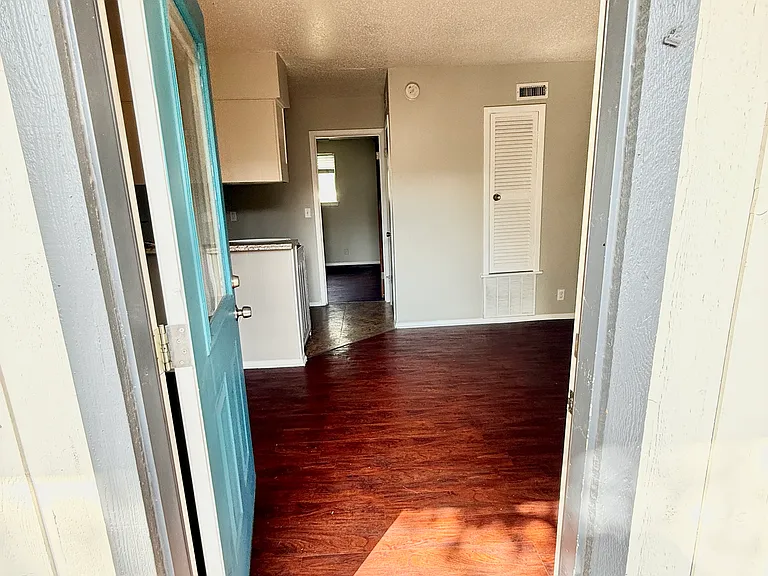 View with front door open