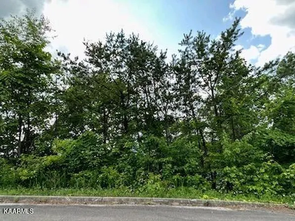LOT 24 Grouse Ridge Ln, Sevierville, TN 37862