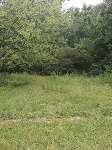 0 Mount Carmel Church Rd, Chatsworth, GA, 30705