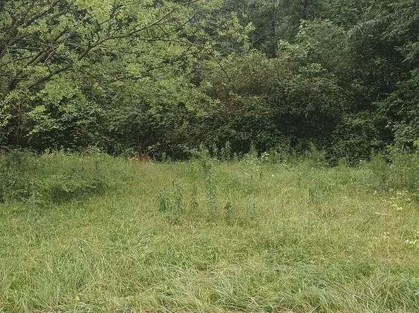 0 Mount Carmel Church Rd, Chatsworth, GA 30705