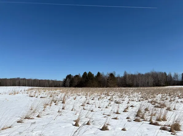 Lot 2 HWY 47, Norwood Town, WI 54409