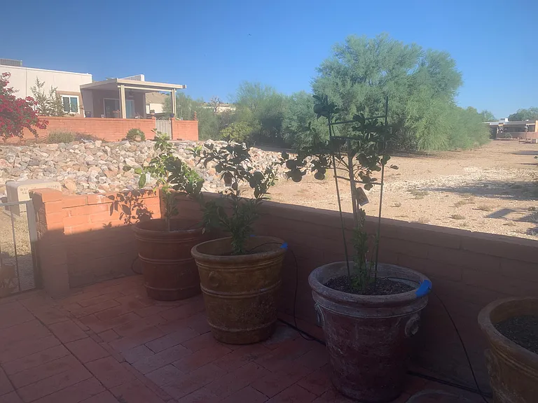 919 W Rio Altar — Photo 19