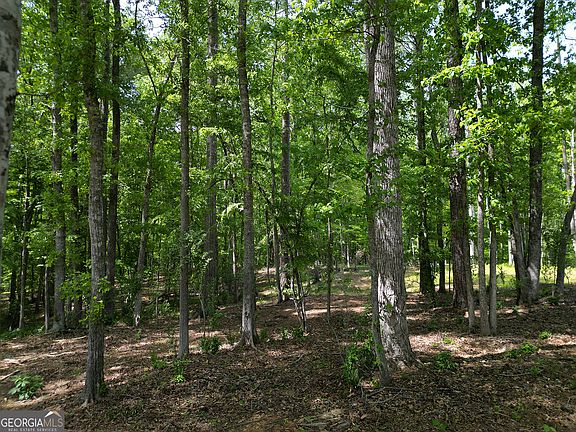 4th image of 1011 Epple Ln