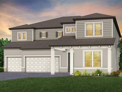 11365 Osprey Preserve Pl, Riverview, FL, 33569
