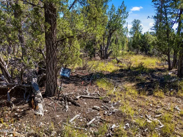1948 ELK Road #029E, Heber, AZ 85928