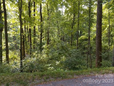 171 Catawba St, Marion, NC, 28752