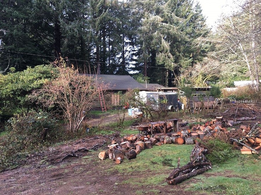 2nd image of 5333 Viola St
