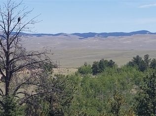 1591 Bolster Dr, Hartsel, CO 80449