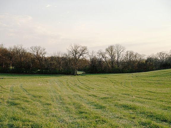 5th image of 1652 Guy Ferrell Rd