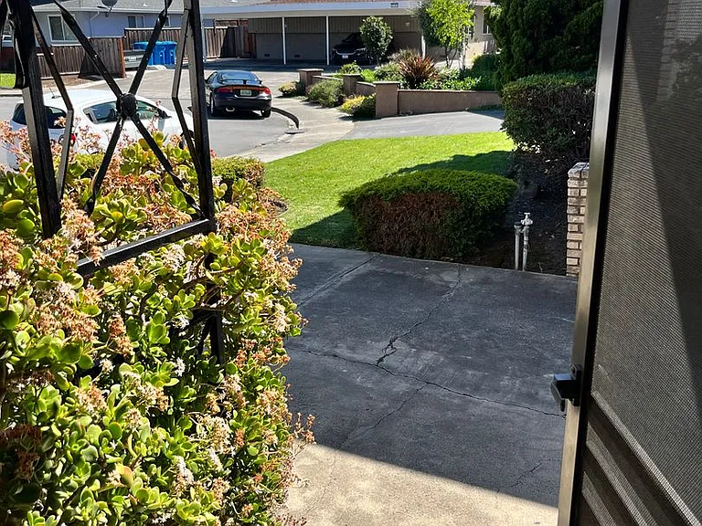 1822 Amelia Way — Photo 4