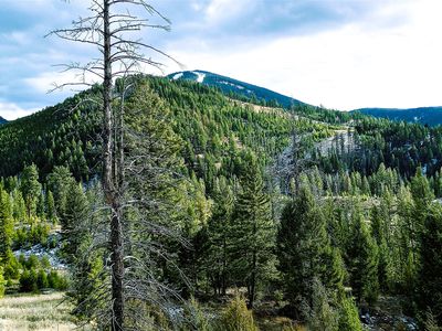Summer Gulch Rd, Philipsburg, MT, 59858